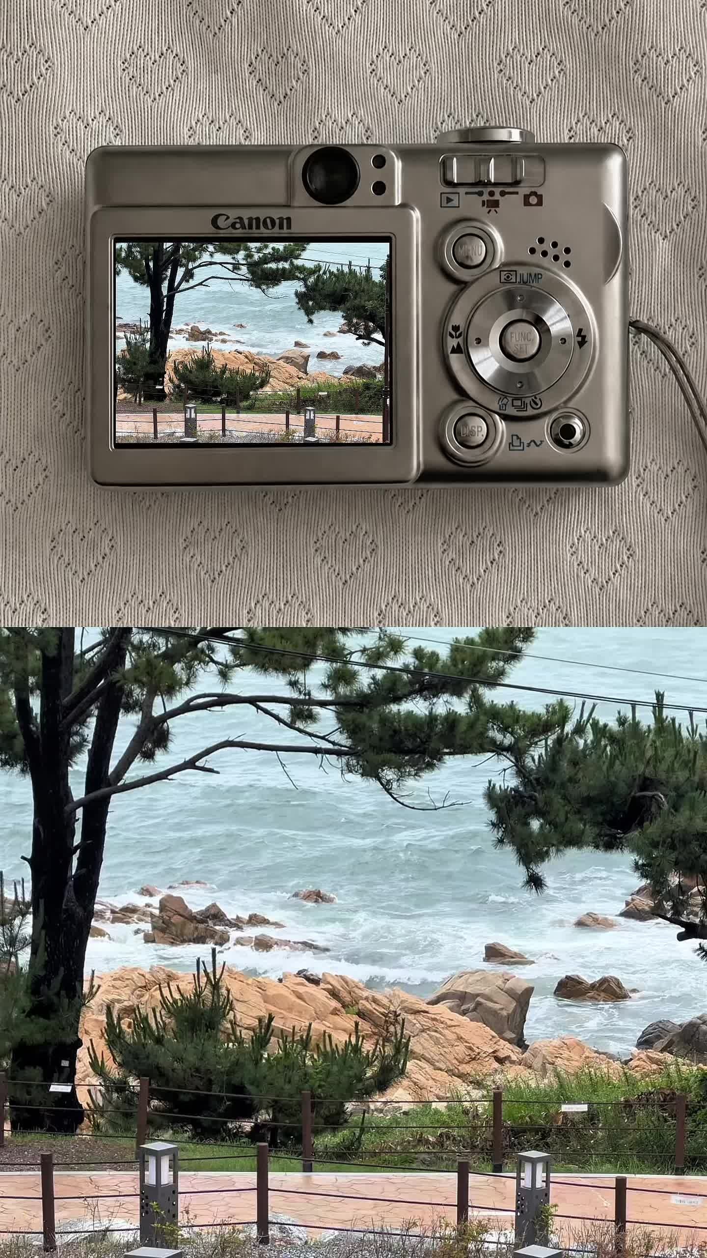 주전보밑항 피크닉장에서 쉬는 건 어때요?