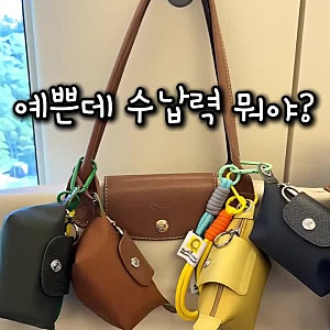 롱샴 르 플리아쥬 엑스트라 동전지갑｜작지만 알찬 가죽 미니 파우치