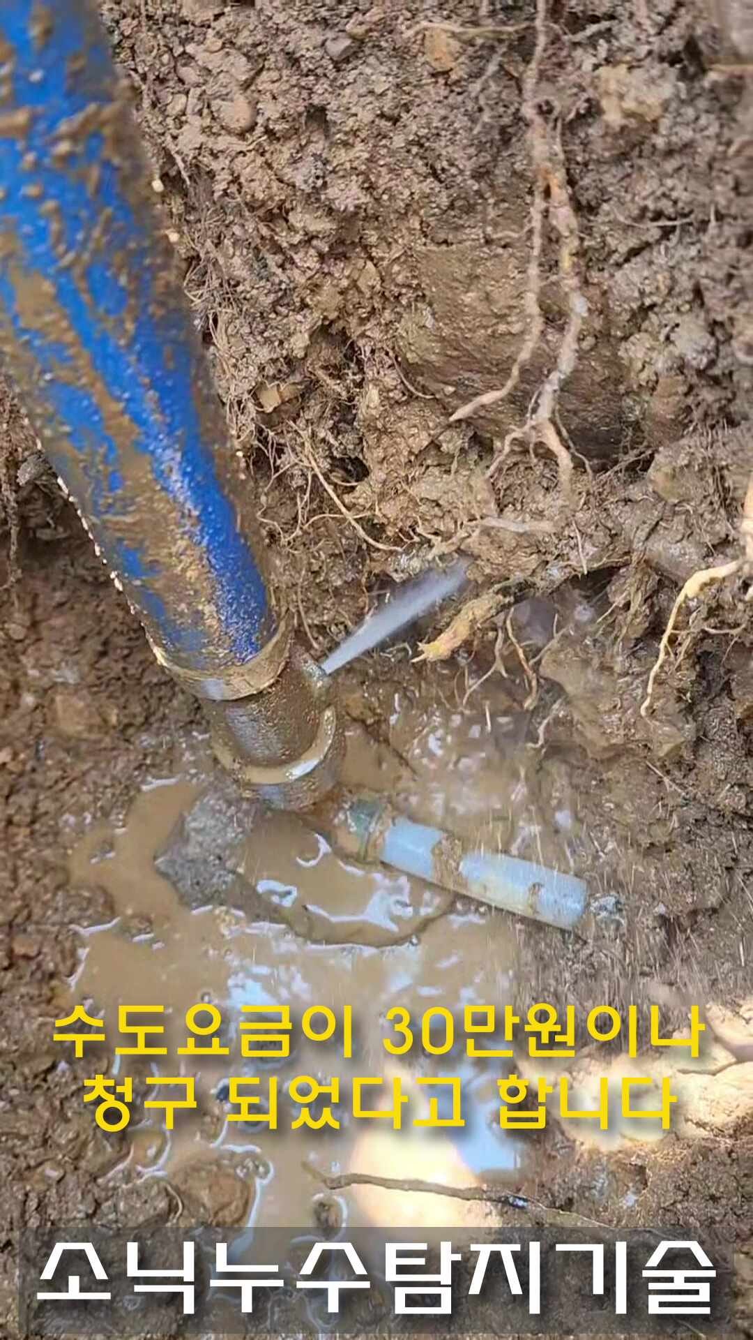 대구 경산 누수, 수도 요금 폭탄을 누수 탐지로 해결하고 대구 수도 사업소에서 얼마나 감면....