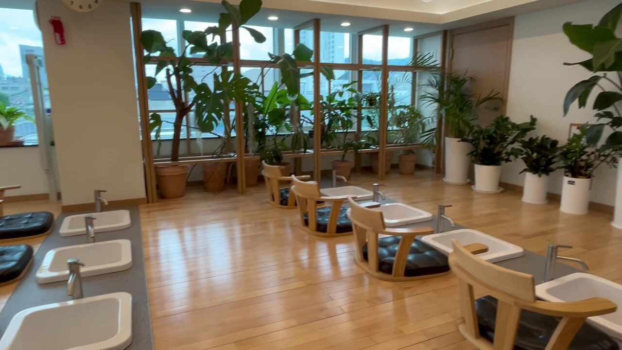 대전여행 ⭐️필수코스⭐️ 실내데이트, 가족여행 추천(꿈돌이하우스, 트래블라운지)