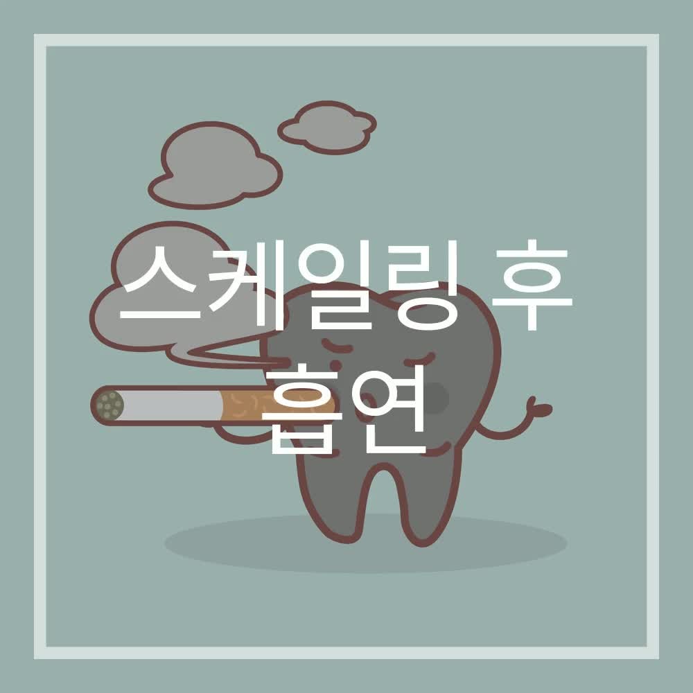 스케일링 후 흡연, 한 대쯤은 괜찮을까요? 놓치기 쉬운 회복 과정 이야기