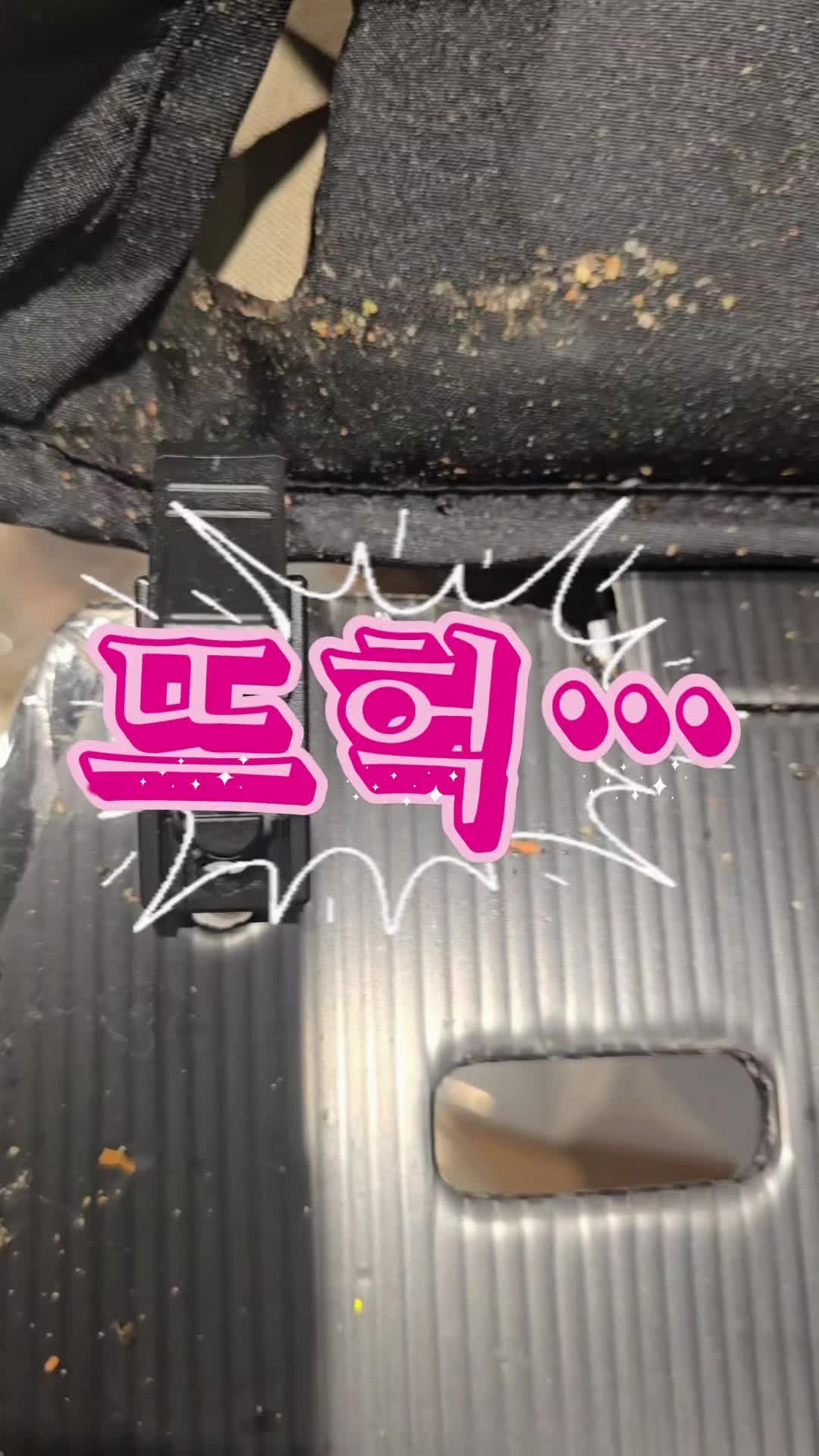 줄즈(Joolz) 휴대용 유모차를 분해했더니… 개미가 줄지어 계속 나오는... ㅣ강북 성북 유모차....