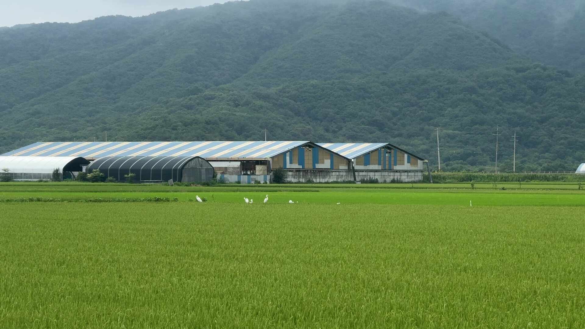 철원 DMZ 투어 평화관광 안보관광 철원여행 땅굴 시간 예약 코스 총정리