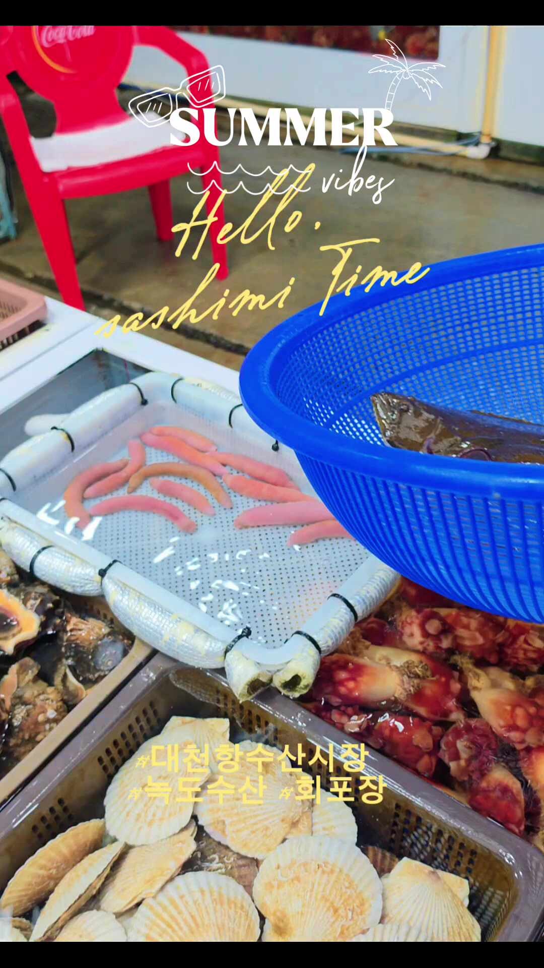 대천항 수산시장 맛집 녹도수산 57호 58호 회포장 광어회 오징어회 방문포장후기