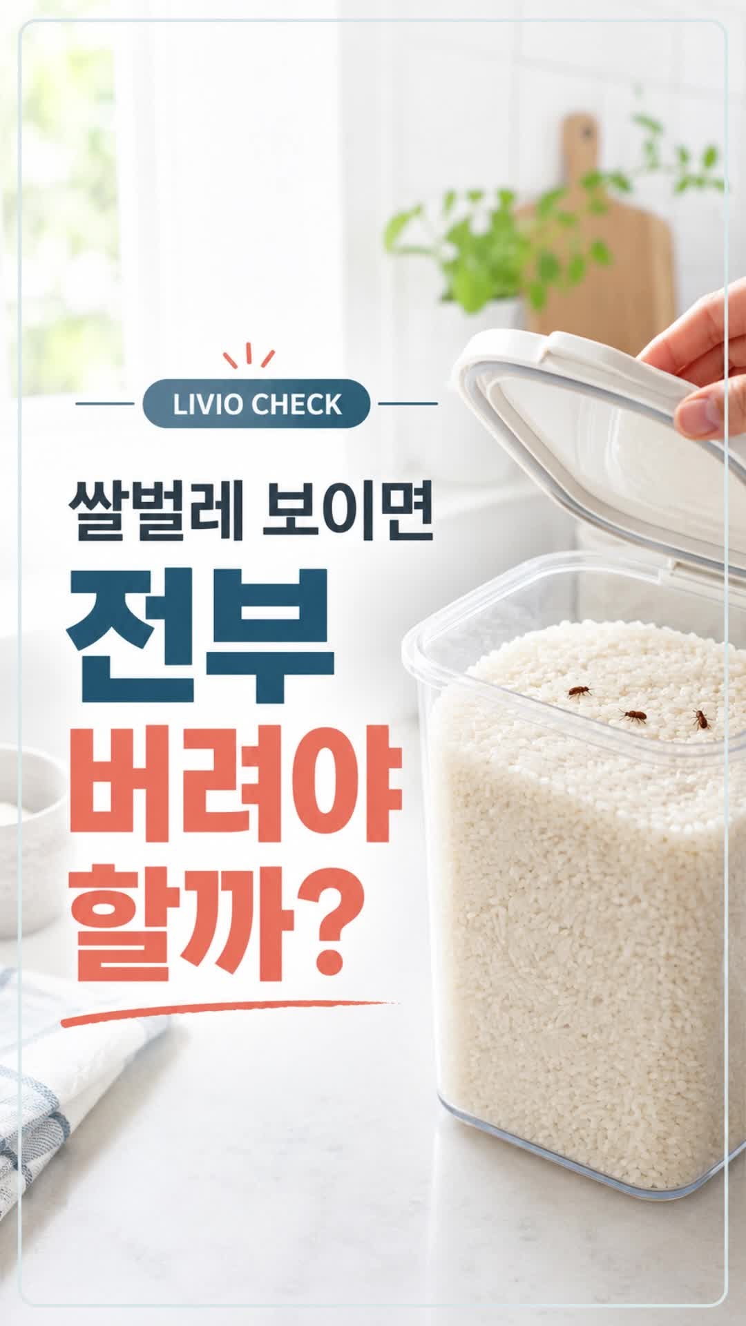 [리비오체크] 쌀벌레 생긴 쌀 먹어도 될까? 버려야 할 신호와 쌀통 청소법