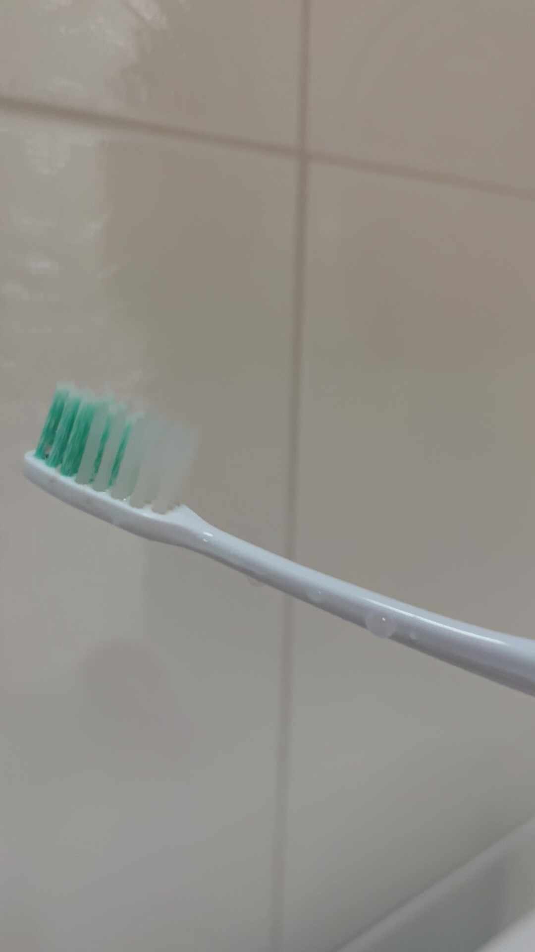 코스트코 프로폴리스치약 레드씰 무불소 치약 사용 후기