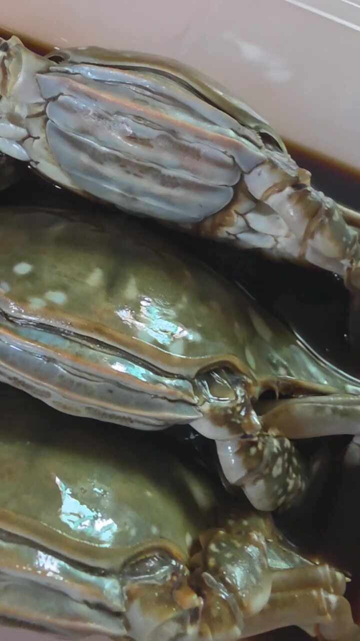 청주 간장게장 포장 후기- 전통꽃게장 봉명동 본점 (가격/포장구성/먹는법 총정리)