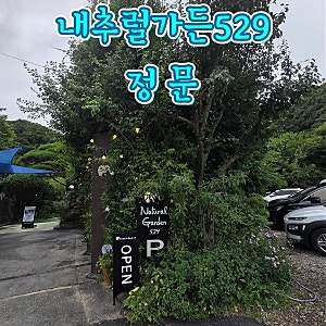 양평 아이와 가볼만한곳 내추럴가든529 | 계곡 물놀이 가능한 정원카페 내돈내산 후기
