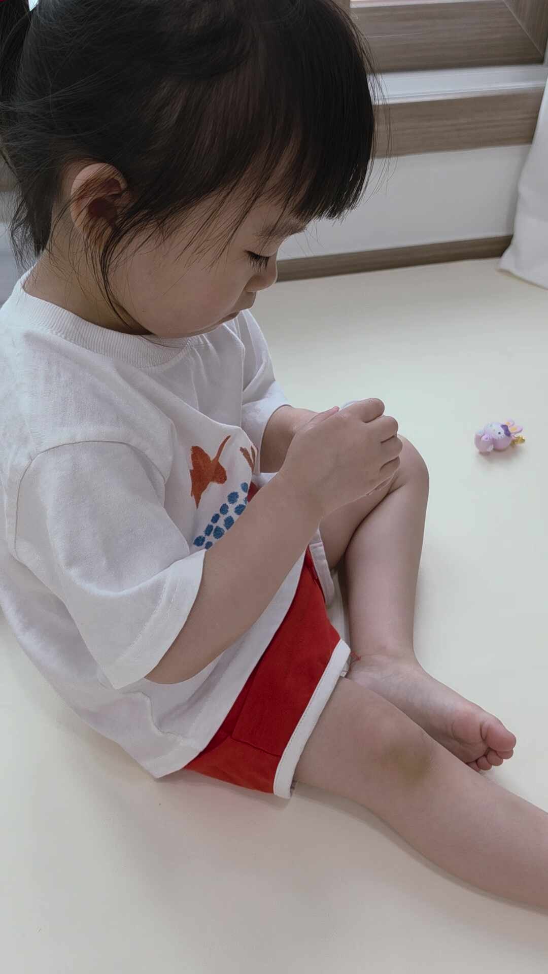 두돌 아기 영양제 추천 파이토블락 후기ㅣ닥터파이토 파이토블락 구성·성분·가격 실제 반....
