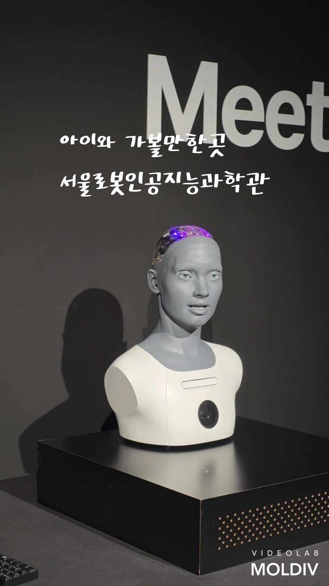 [서울 도봉] 서울로봇인공지능과학관 - 전시해설 예약 필수(서울시 공공서비스 예약)