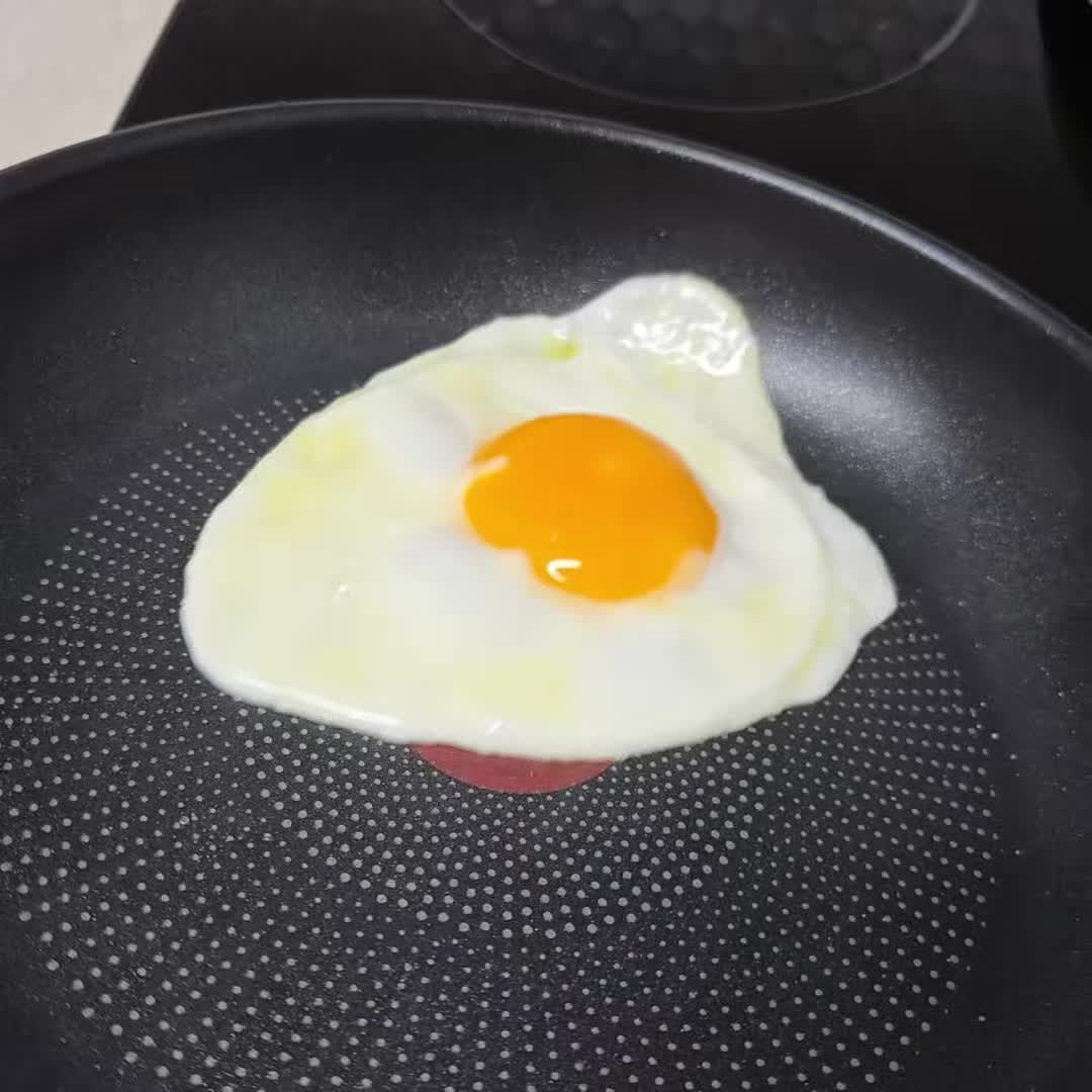 1인 가구 필수템, 테팔 인덕션 스텐 티타늄 3X 퍼펙트 레지스트 프라이팬 20cm 후기