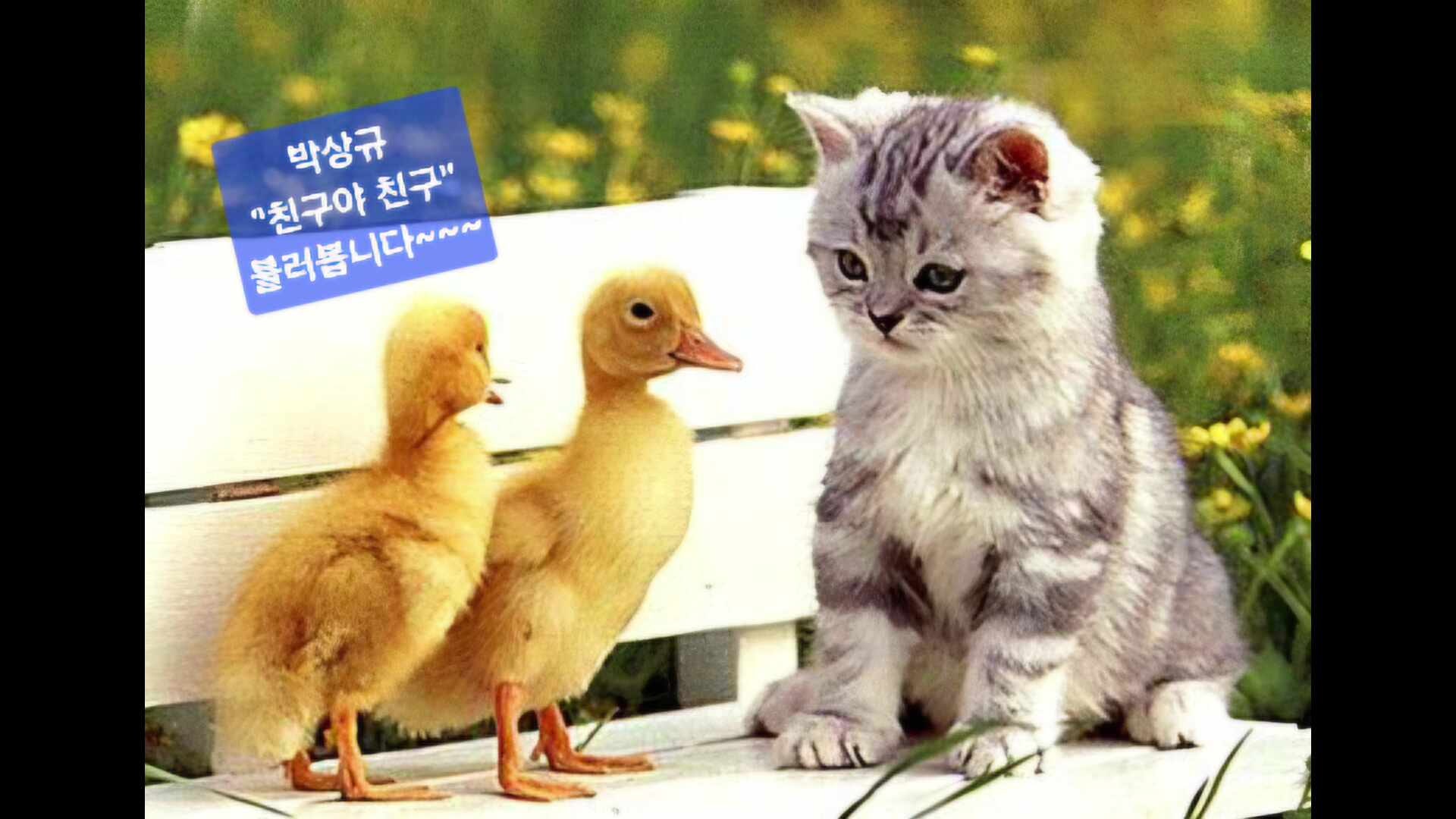 650. 친구야 친구~~~ 어쩌다 말다툼 한번 했다고 등질 수 있나...