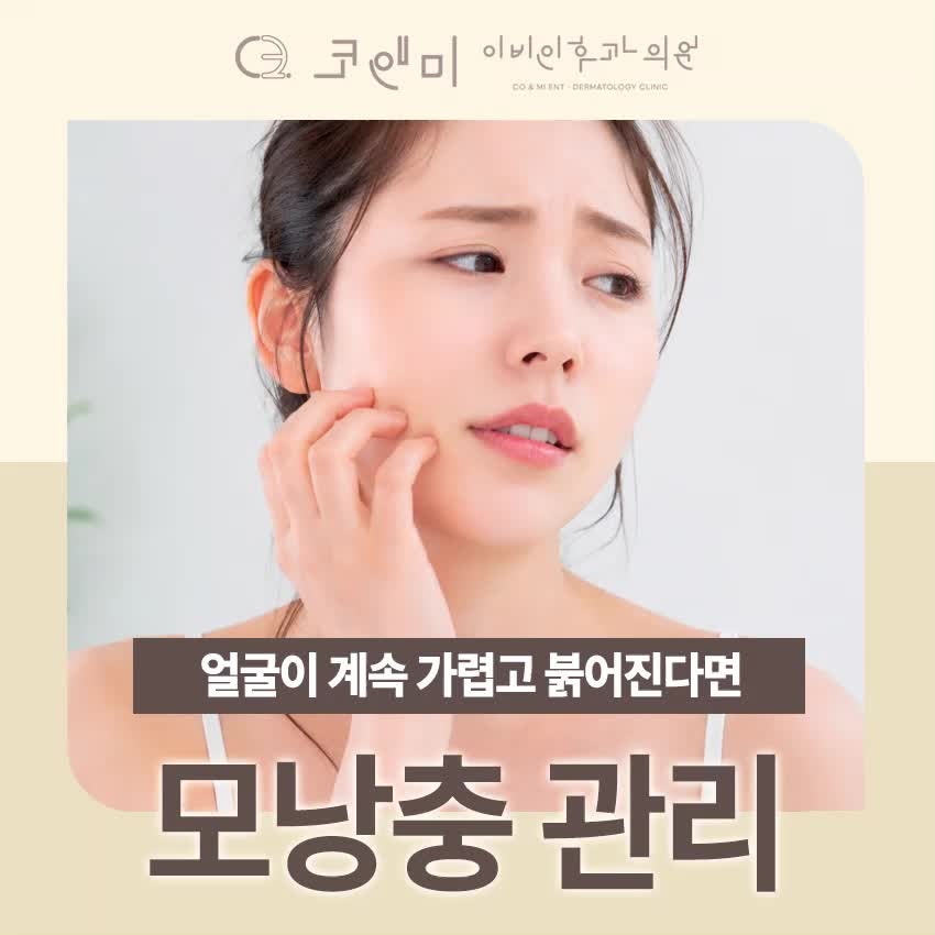 대전 주말 피부과가 설명하는 모낭충 관리, 꼭 필요한 걸까요?