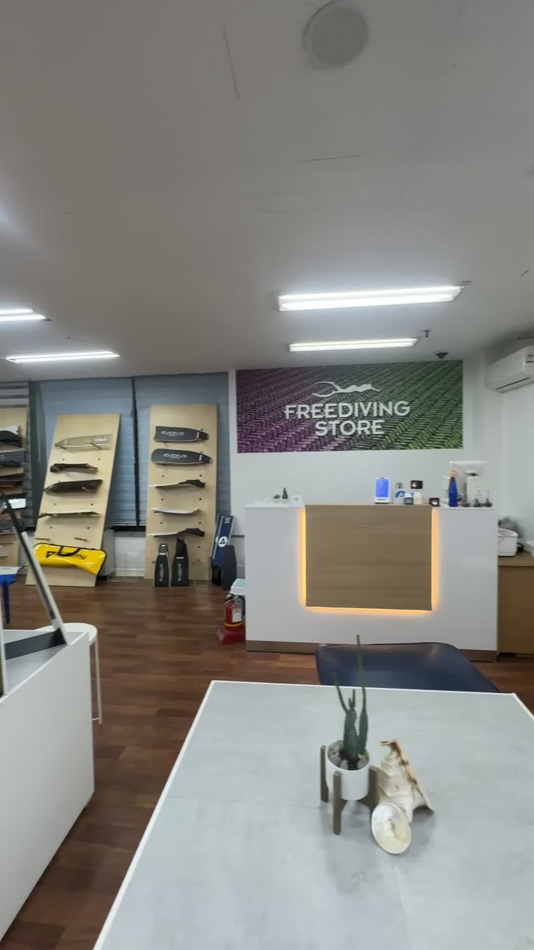 일산 프리다이빙스토어 방문기｜알케미부터 이볼브까지 직접 보고 왔어요
