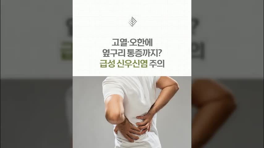 죽전동내과 감기 몸살인 줄 알았는데? 급성 신우신염 의심 증상