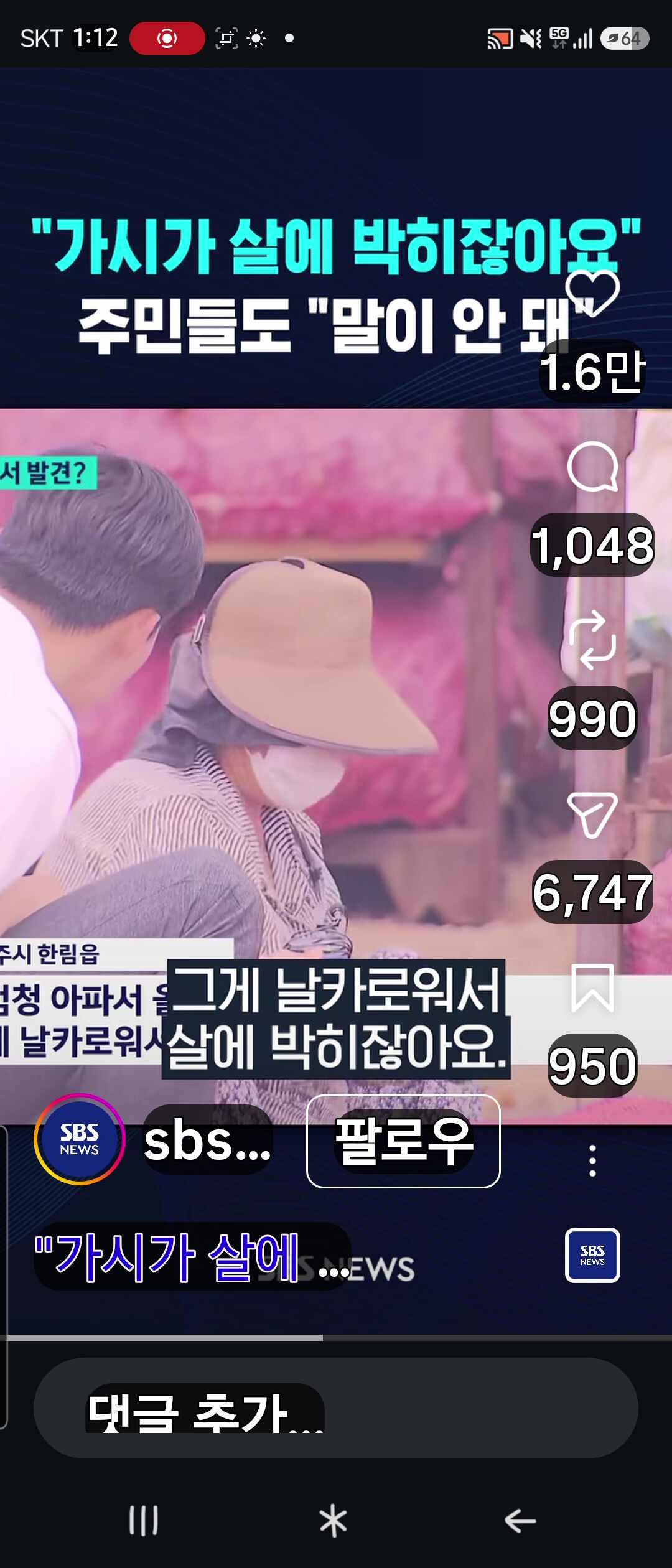 제주도 한립읍 장미란씨 실종 사망 사건 야자수농장 카나리아 야자수 나무에 가시가 아프고 ....