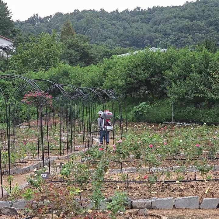 풀과의 전쟁 이젠 끝^^