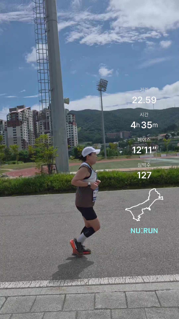 제3회 GO대관령트레일런 후기｜대관령에서 달린 20.18km 트레일러닝 대회