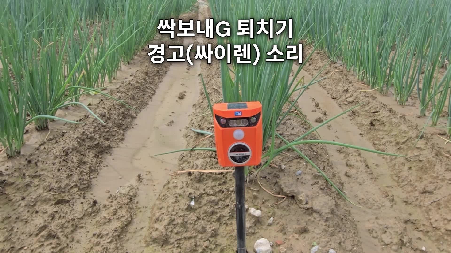 야생동물 퇴치기 효과 없던 이유? 멧돼지 고라니 습성부터 알아야