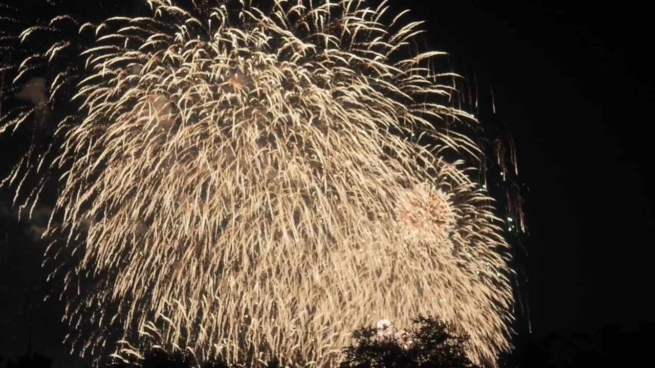 서울세계불꽃축제2026 (논란의 노들섬 22만 원짜리 좌석 후기)