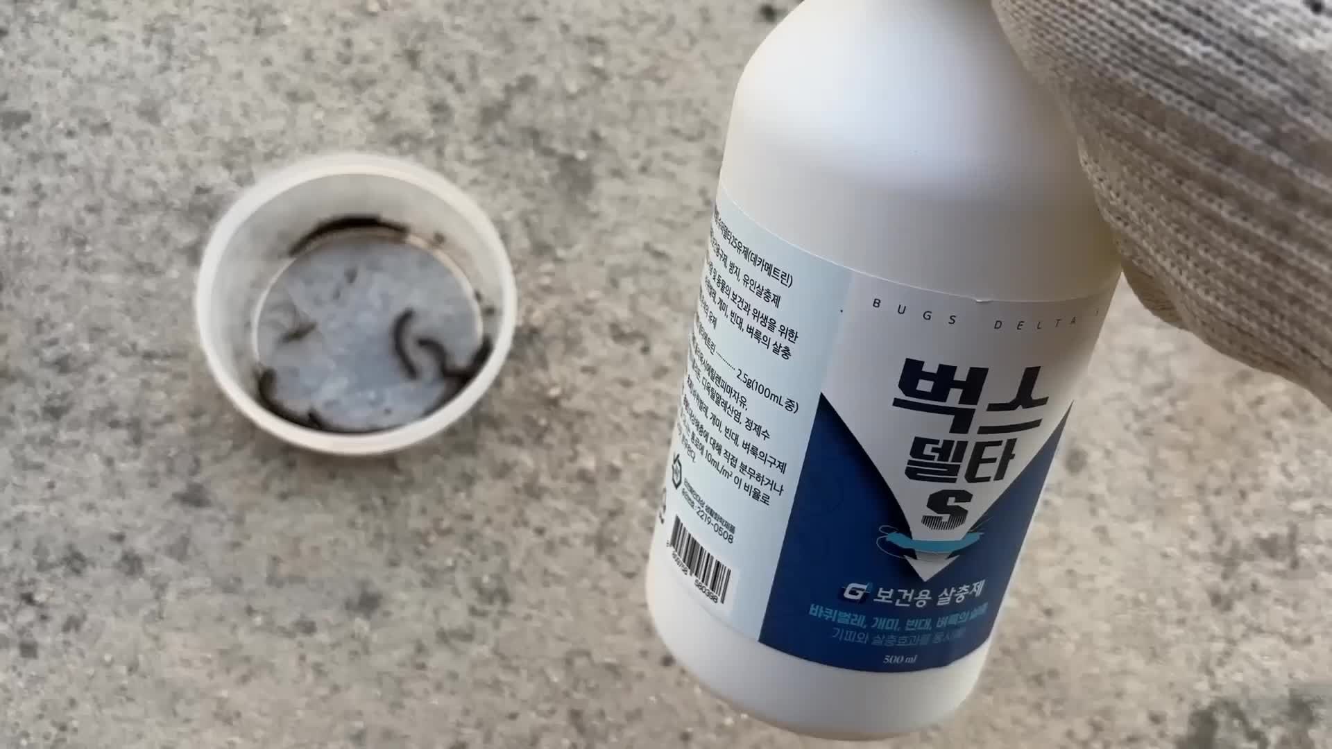 지네 퇴치약 쓰기 전, 지네가 집에 들어오는 이유와 예방법