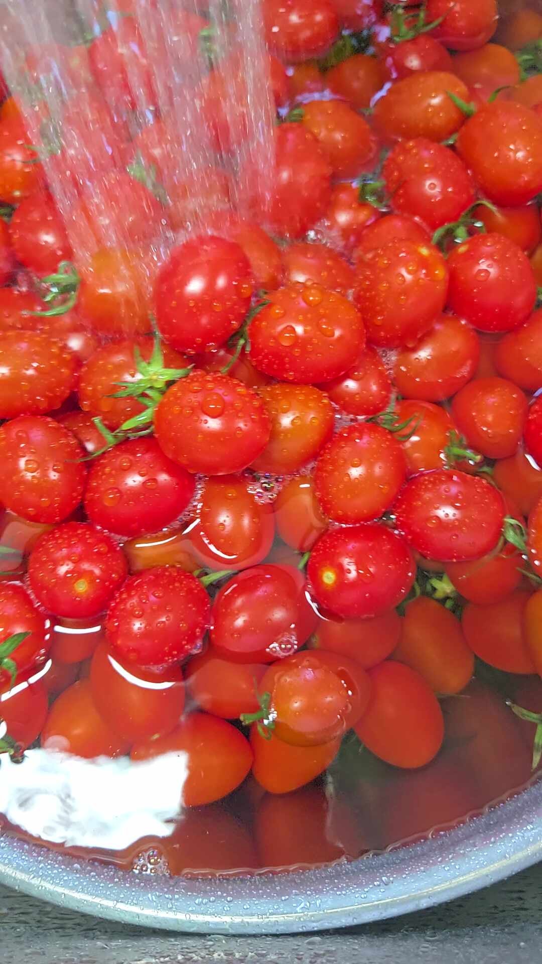 바로땃슈 꿀맛 가득한 산지직송 방울토마토 보관법 효능
