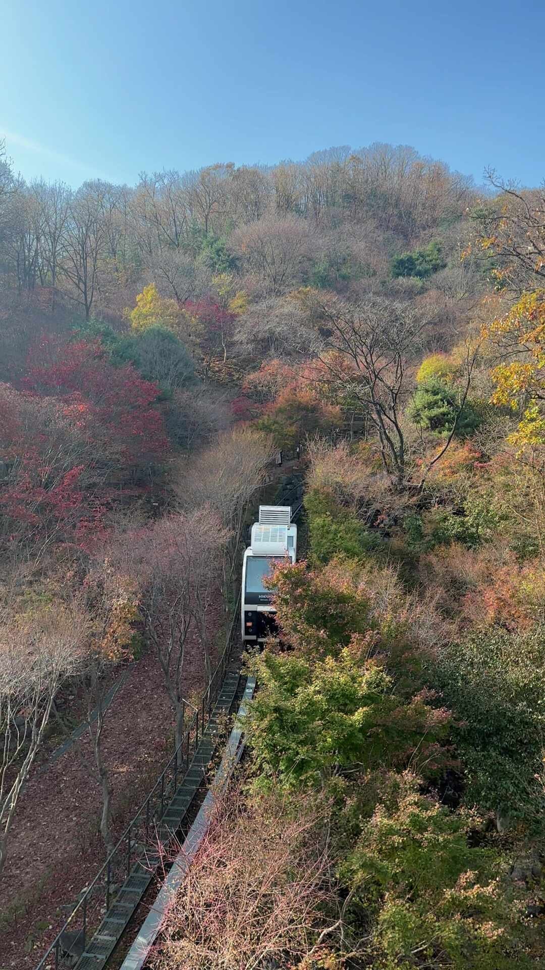 화담숲 예약 방법, 단풍시즌 직접 다녀온 후기