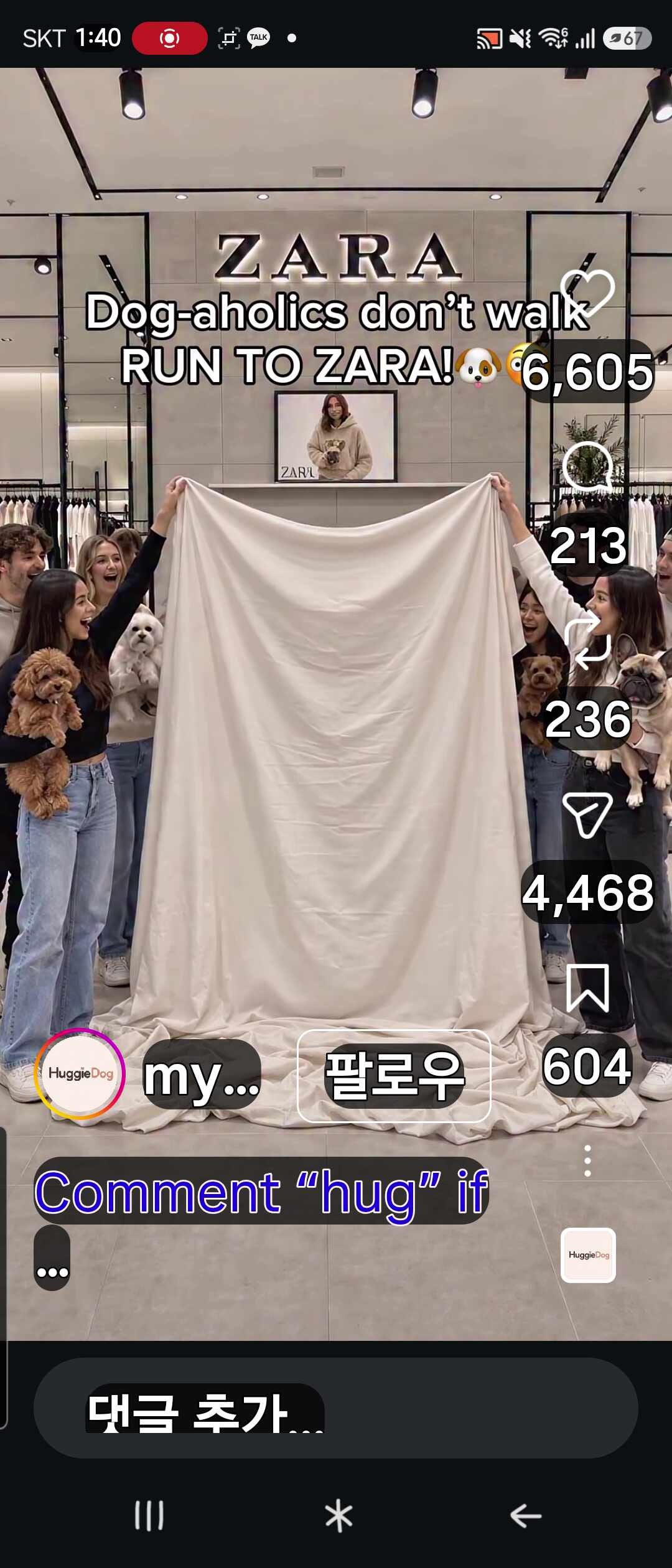 자라 도그맘 캥거루 애견묘 댕댕이 개 포켓 주머니겨울애완반려견 강아지 스웨터 후드티셔....