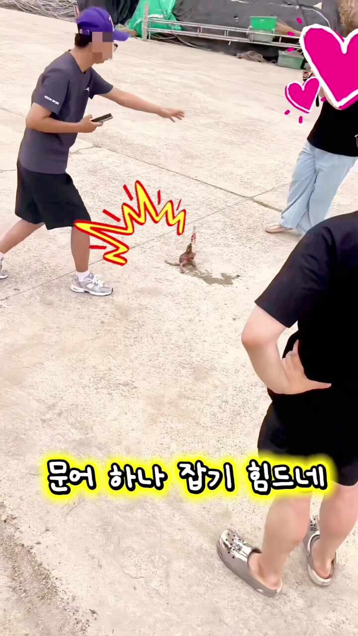 통영방파제낚시 여행 시 꼭알아야할 주변 편의시설 및 낚시채비공략