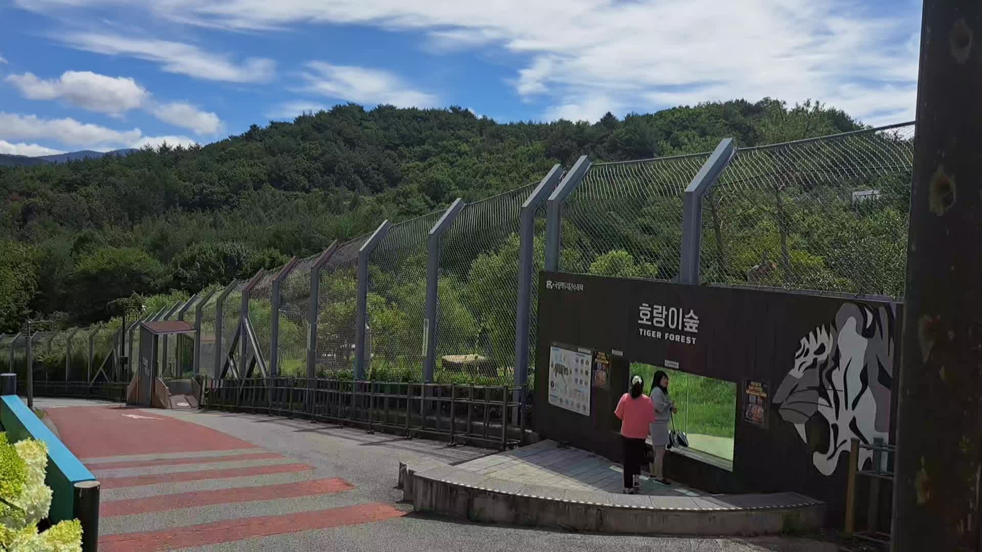경북 봉화 여행 - 대자연 속 백두산 호랑이를 볼 수 있는 국립 백두대간 수목원 호랑이 숲- - ....
