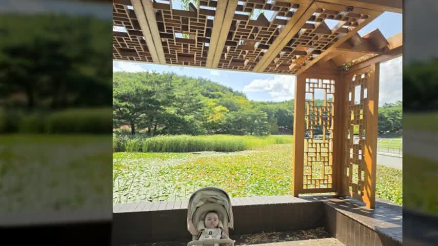 울산 여행 코스 아이와 가볼만한곳 울산대공원