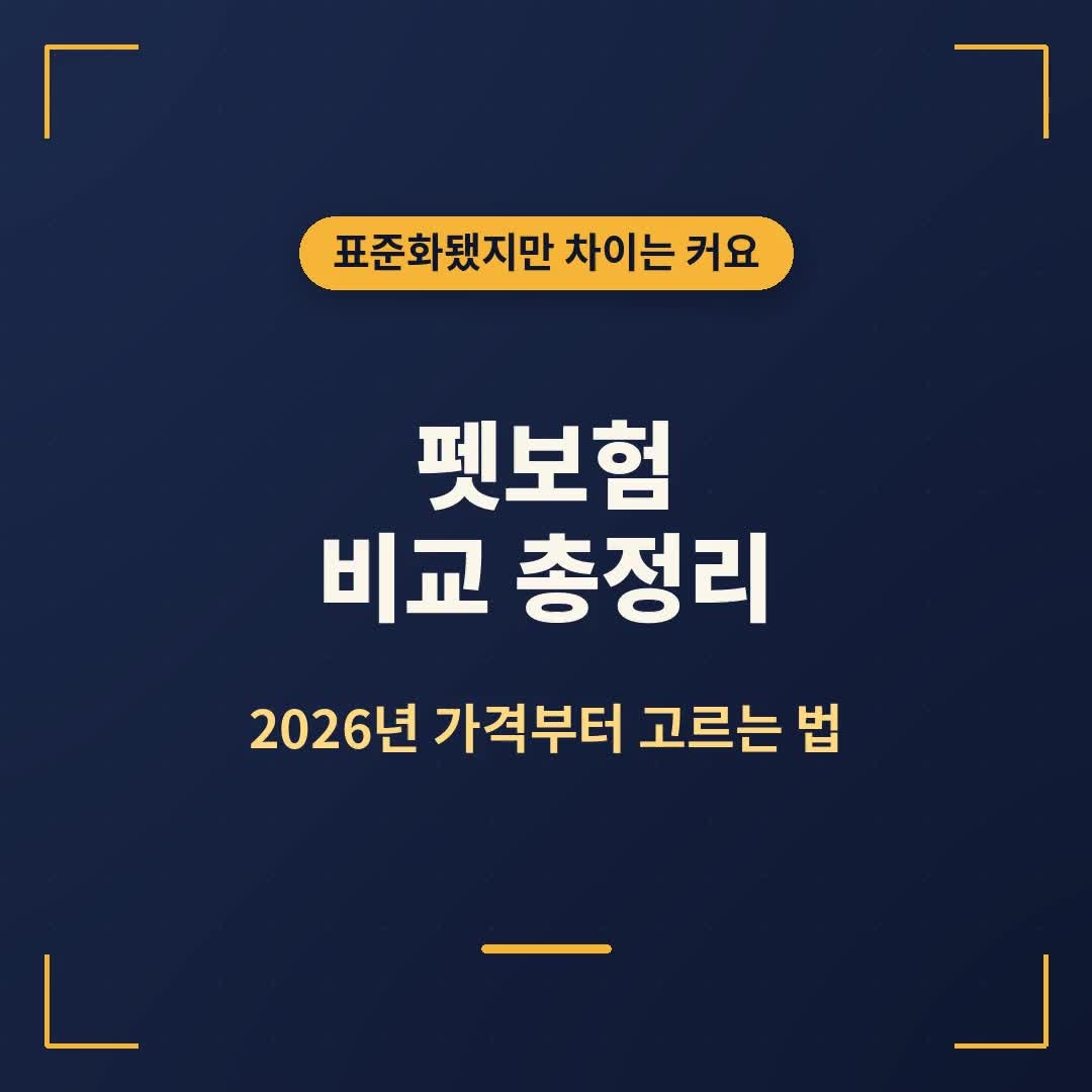 펫보험 비교 총정리, 2026년 가격부터 KB·메리츠·카카오까지 고르는 법