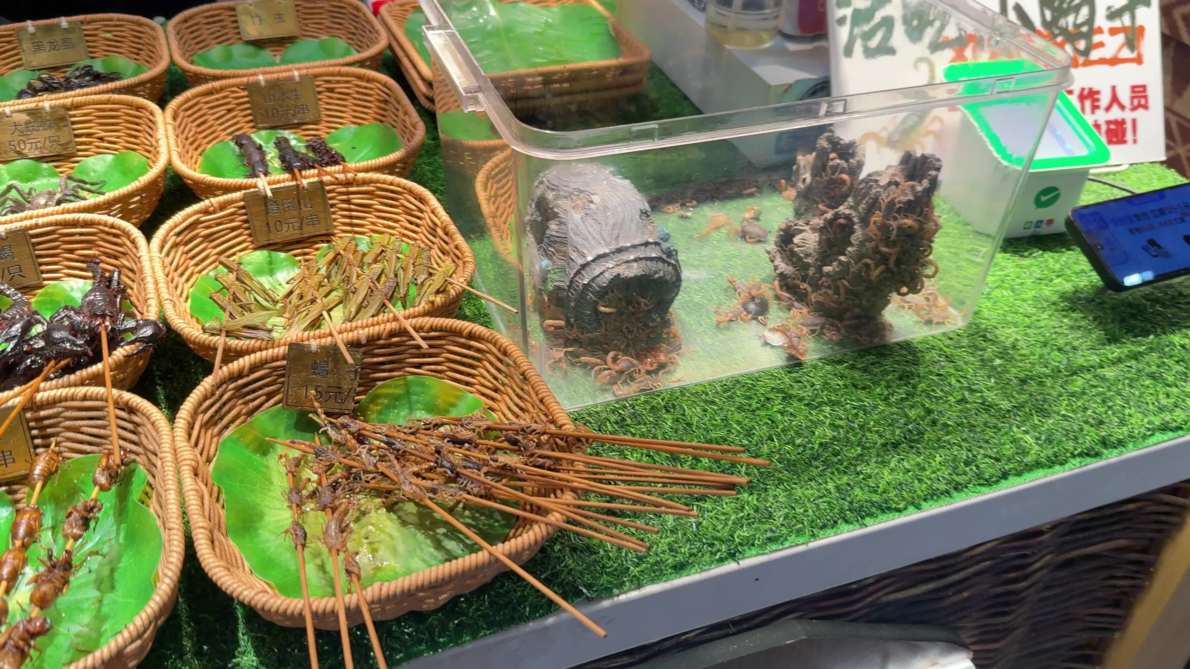 대련 서안로야시장 몰리티 추천메뉴