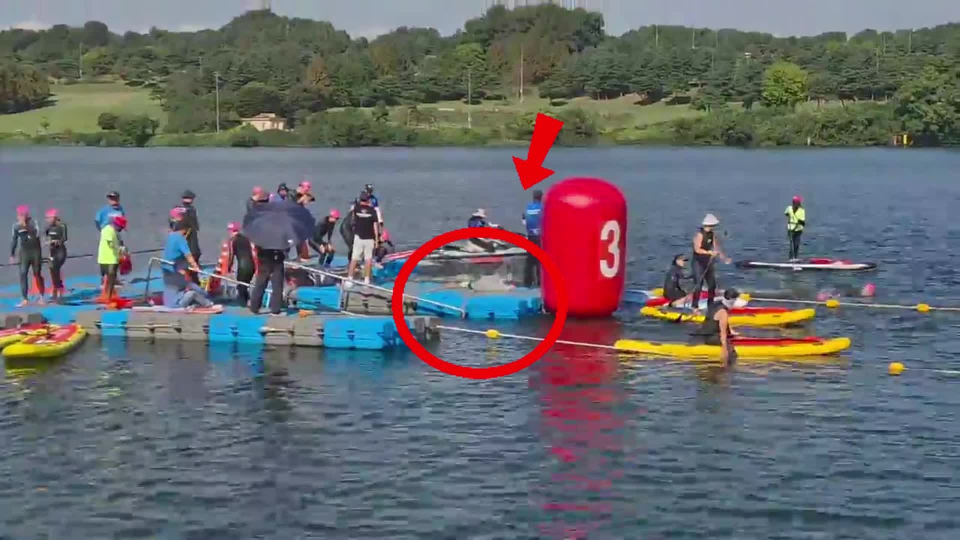 제7회 충주 탄금호 철인 3종 올림픽 코스 참가