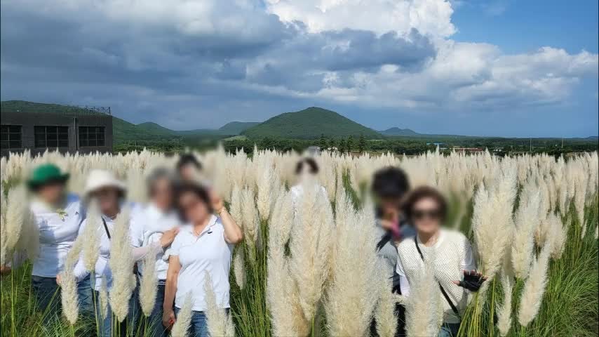 제주 카니발 렌트 제주도 여행 카니발 투어 선택한 이유