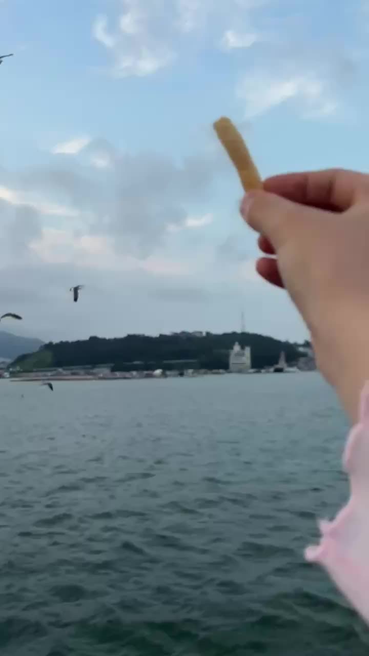 여수 프라이빗투어부모님 모시고 다녀온 코스 완벽정리