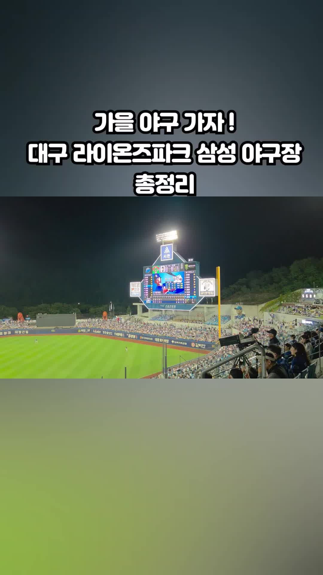 대구 삼성 라이온즈파크 총정리 주차 정보와 음식 주문 식당 1루 스카이 좌석까지