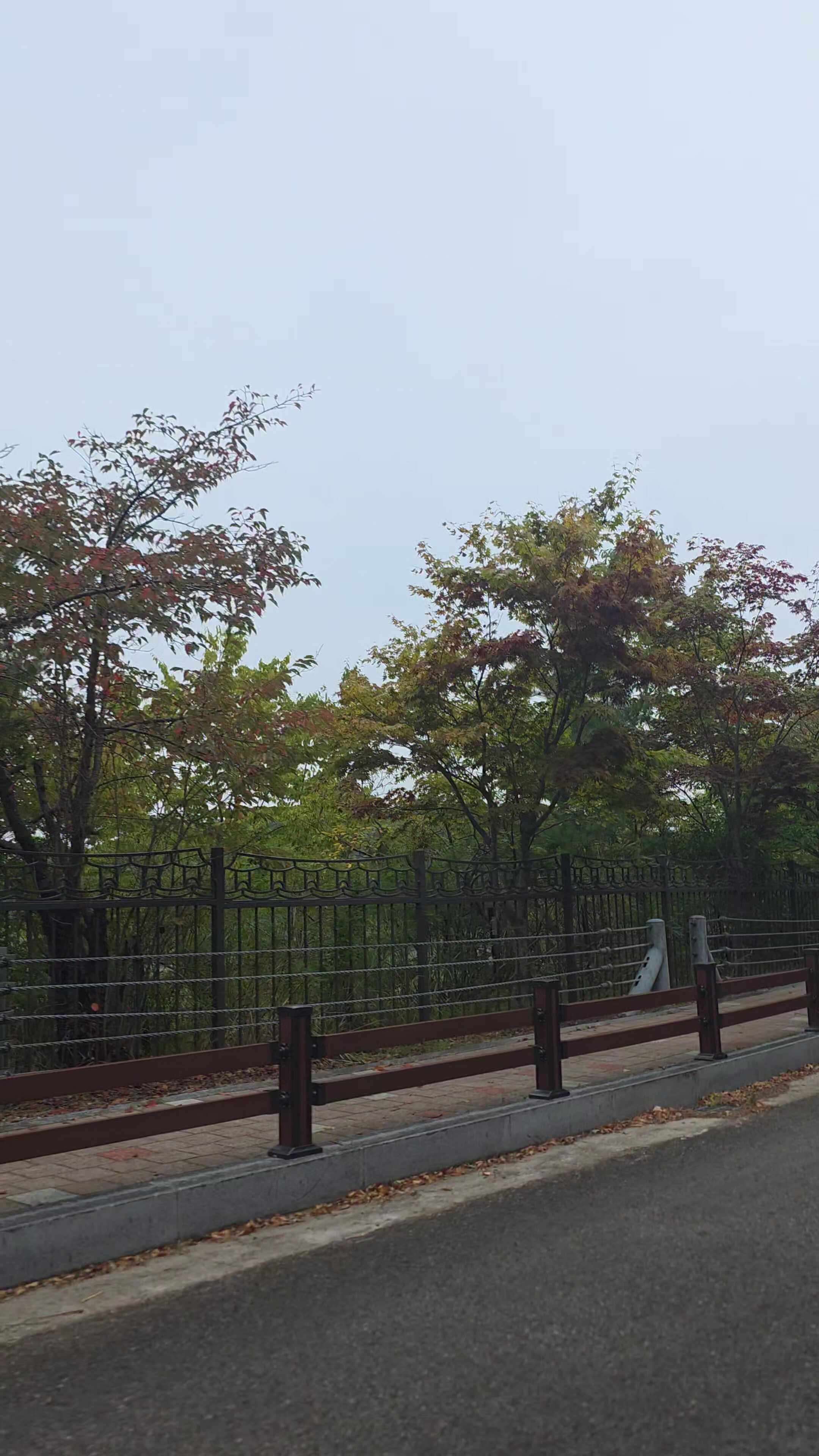 적상산 안국사는 차로 단풍을 볼 수 있는 곳이다