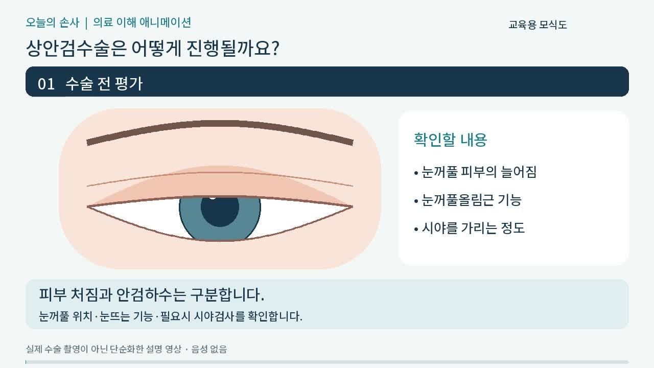 상안검수술, 실손보험으로 보상받을 수 있을까?_〈다시, 눈앞이 환해진 날〉