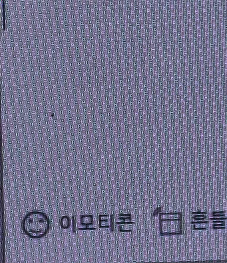 인생 최악의 여름 : (1) 먼지다듬이와의 조우