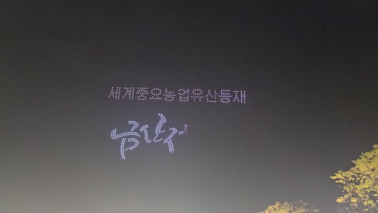 [충남 금산 가볼만한곳] 제44회 금산세계인삼축제 솔직후기현장! 주차 팁부터 먹거리·포토존· 초대가수 라인업 총정리 🌿환상적인 드론 쇼까지 🎇(촬영26.10.04)