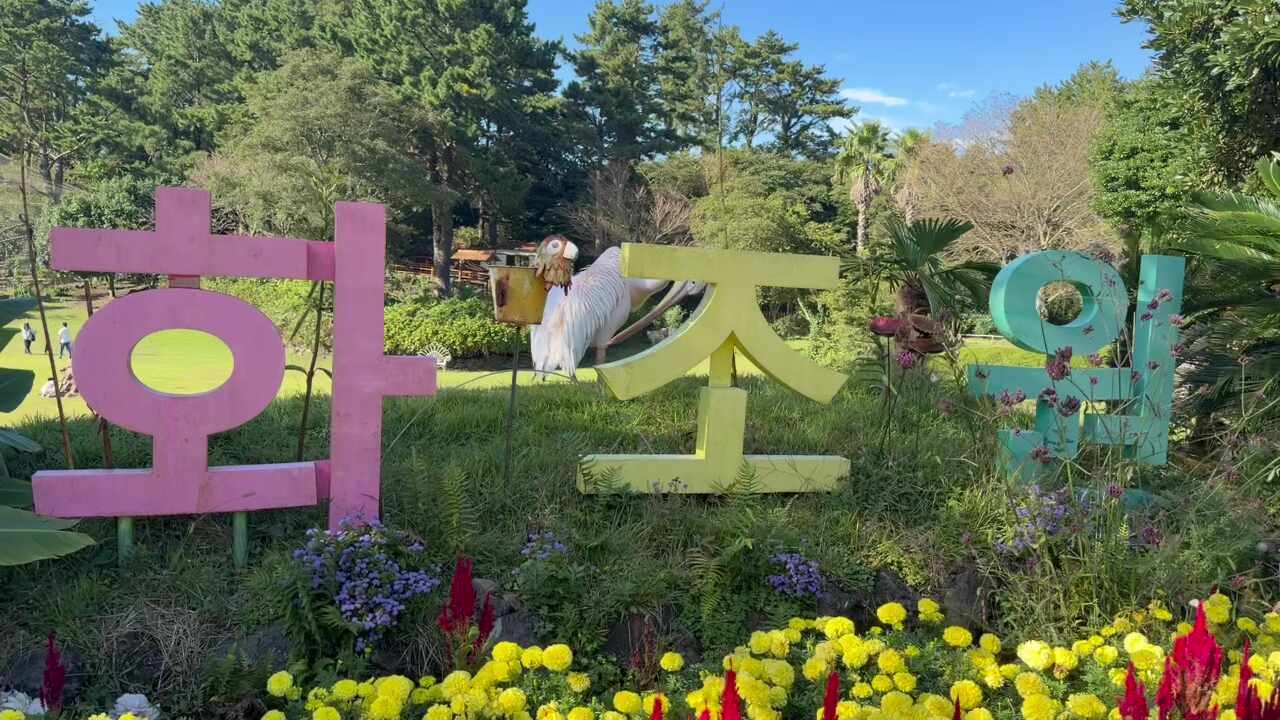 제주 아기랑 가볼만한곳 | 애월 화조원 잔디광장과 다양한 동물 체험 후기