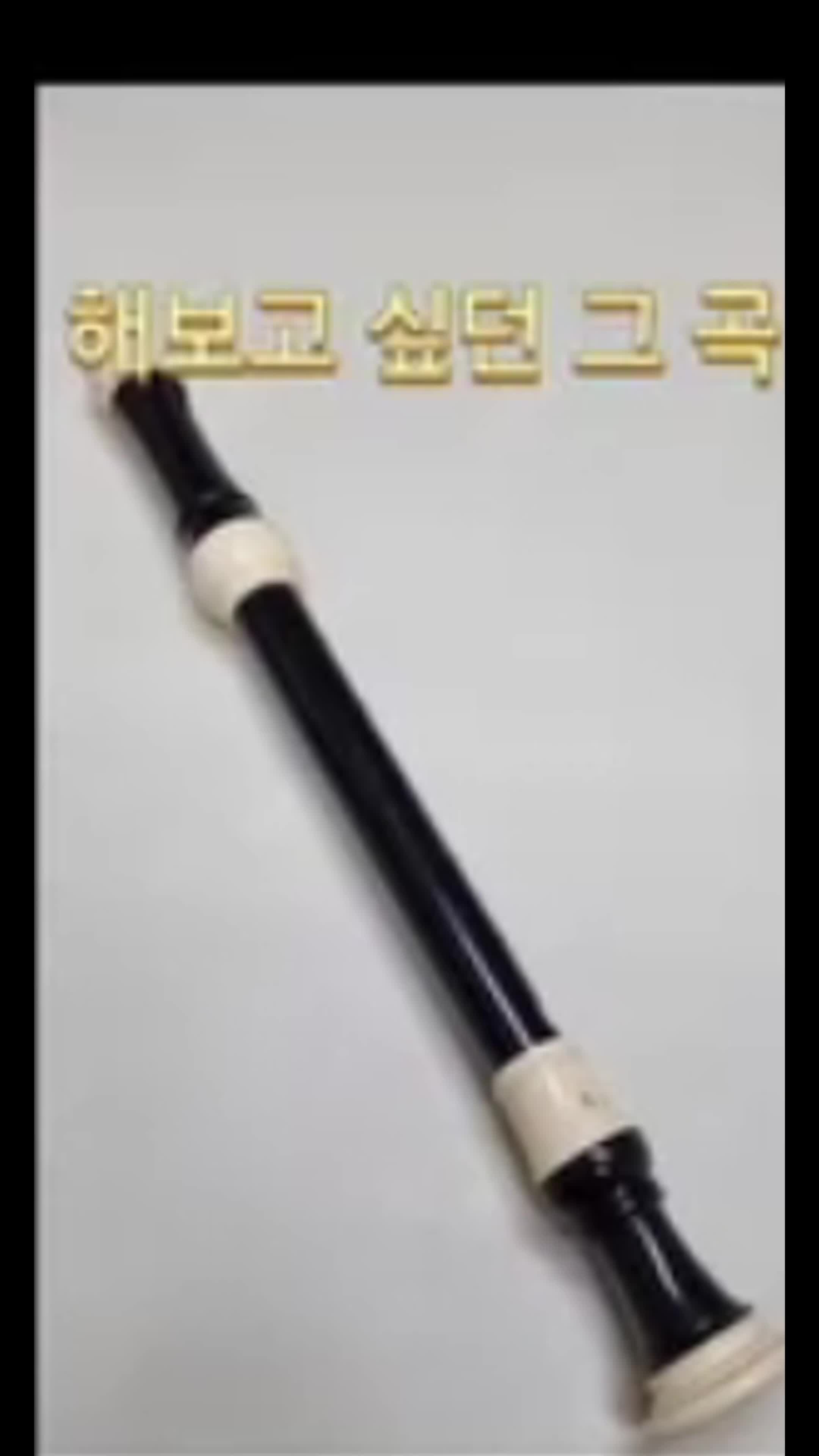 클라리넷입문자가 당근마켓에서 2천원 리코더 충동구매한 후기|오징어게임OST연주하고 내린 ....
