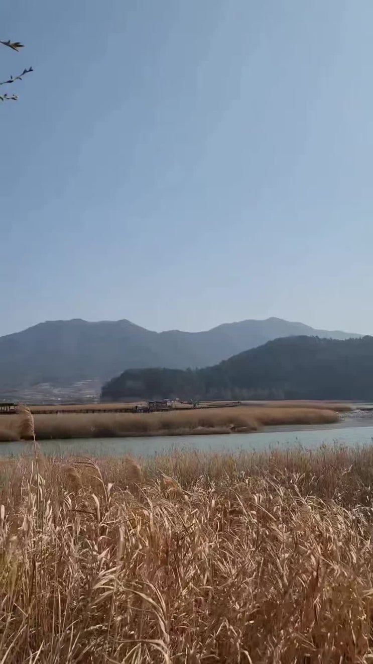 2편연휴 2박 3일 여수·순천 여행 ｜순천만국가정원·순천만습지·낙....