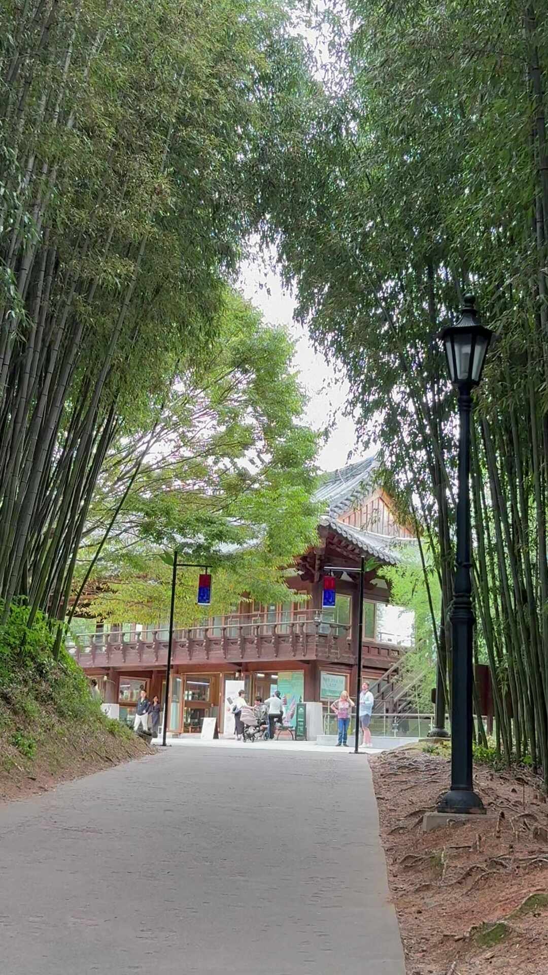 담양 죽녹원 후기, 입장료 무료, 할인 주차장 꿀팁