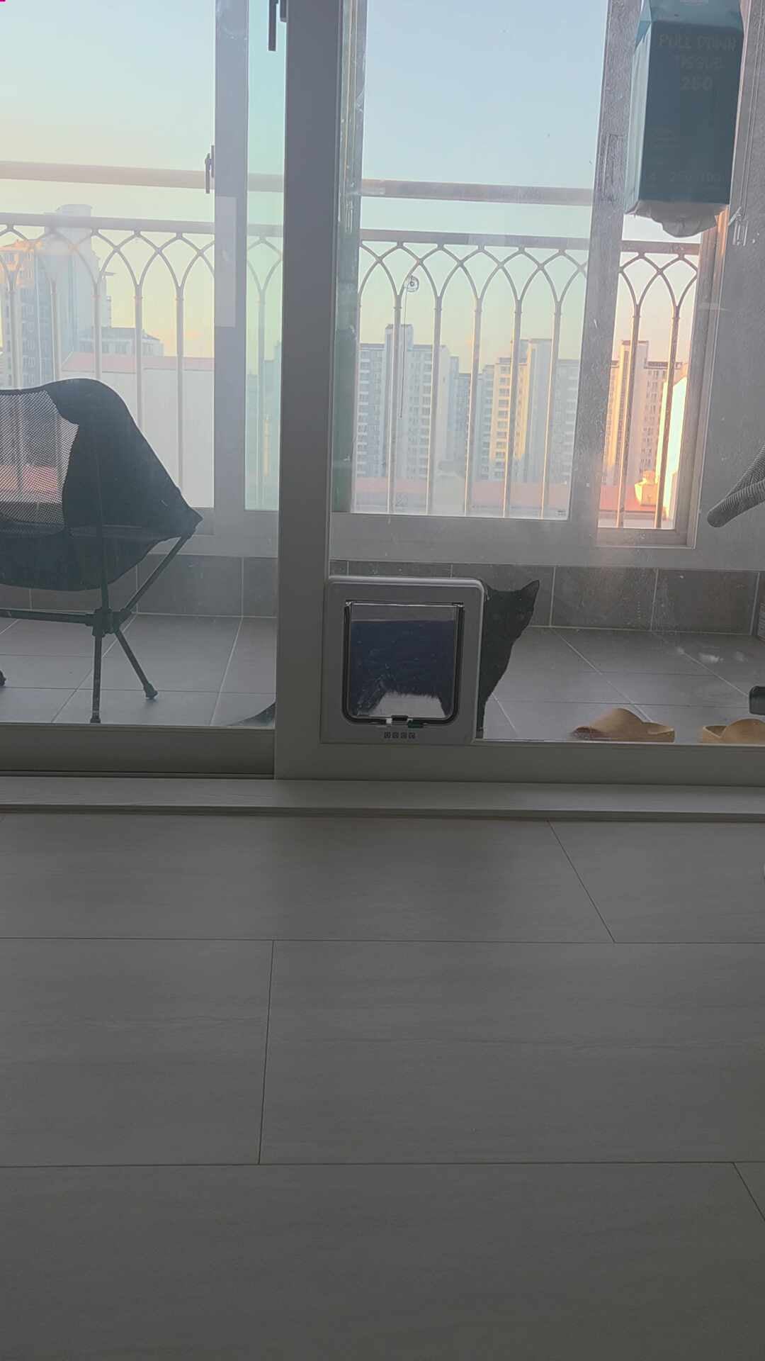길냥이 입양 후 베란다 샷시 고양이 펫도어 시공