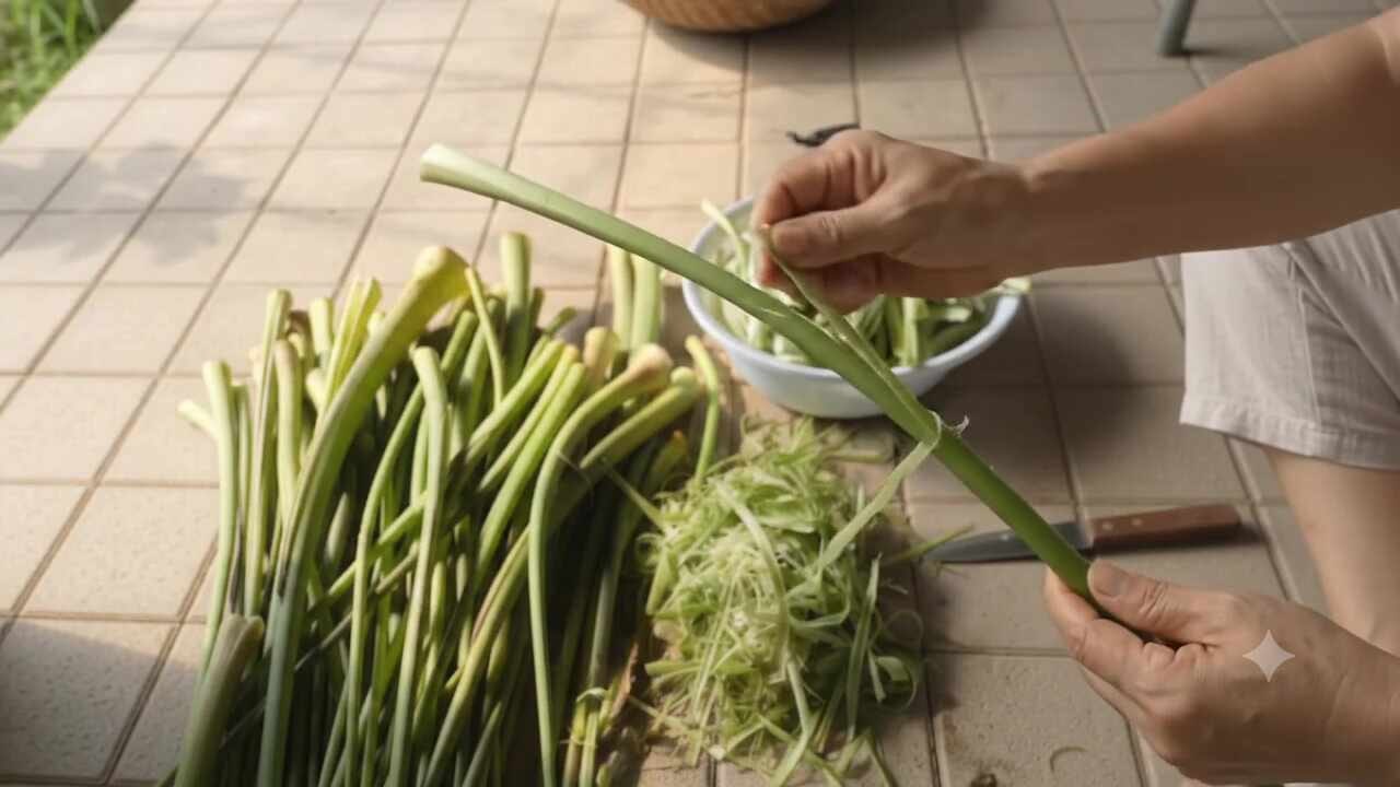 10월 필수 수확! 토란대(토란줄기) 쉽게 벗기는 방법부터 묵나물 보관법까지