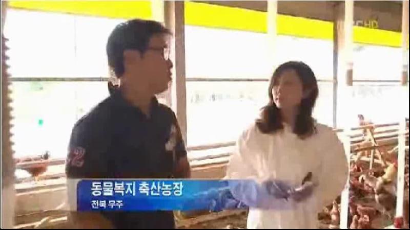김진희 기자 미모 화제