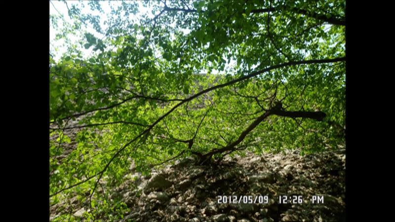 이루마샤콘느 / 이루마chaconne [듣기(연주)]