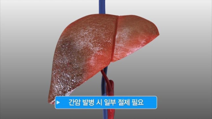 간에 대한 모든것 : 네이버 블로그